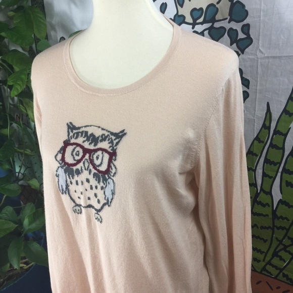 Ann Taylor Sweaters - Anne Taylor Owl Sweater